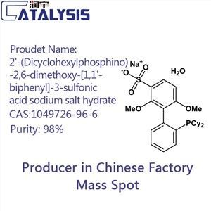 2'-(Dicyclohexylfosfino)-2,6-dimethoxy-[1,1'-bifenyl]-3-sulfonzuur Natriumzouthydraat CAS:1049726-96-6